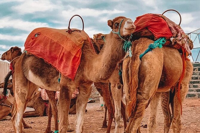 Marrakech: Agafay Desert Sunset, Camel Ride, and Dinner Show - From Mud Houses to Sunset Photos at the Desert Camp