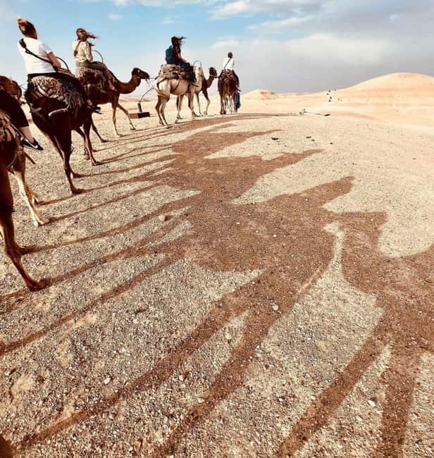 Marrakech: Agafay Desert Sunset, Camel Ride, Dinner and Show - FAQ