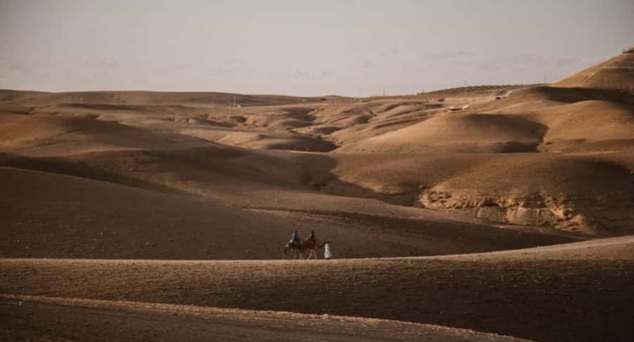 Marrakech: Agafay Ds Sunset with Dinner, Show & Tuareg Music - Should You Book This Agafay Sunset With Dinner and Music?