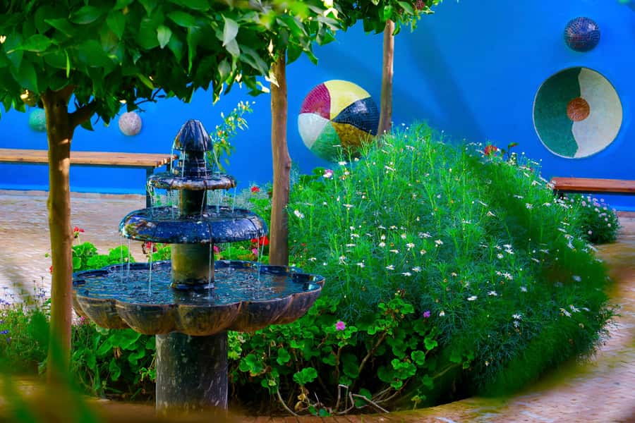 Marrakech: André Heller's ANIMA Garden Ticket - Price value: what $16 gets you, and what it doesn’t
