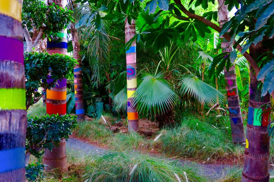 Marrakech: André Heller's ANIMA Garden Ticket - Getting there from Marrakech without stress