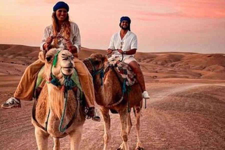 Marrakech: Atlas Mountain, Berber Villages, & Valleys Tour - Who This Tour Fits Best