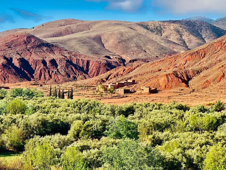 Marrakech: Atlas Mountain, Berber Villages, & Valleys Tour - From Jamaa El-fna to the Atlas: The Day’s Easy Start
