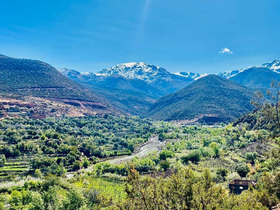 Marrakech: Atlas Mountain, Berber Villages, & Valleys Tour - Berber Villages, Waterfalls, and Terrace Views You Can Actually Reach