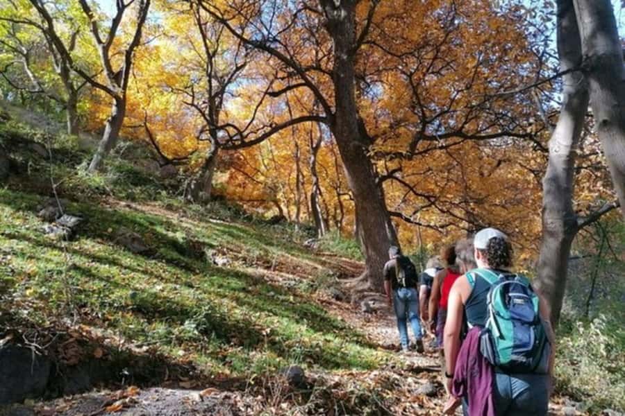 Marrakech: Atlas Mountains 3 Valleys Hike W Lunch&Waterfalls - Key highlights you should actually care about