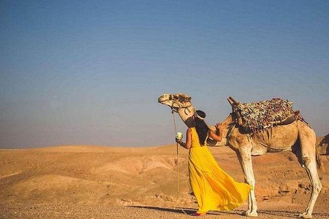 Marrakech: Atlas Mountains 4 Valleys, Waterfalls and Camel Ride - Aroumd Valley at 2,300 Meters, Fruit Orchards, and High Atlas Peaks
