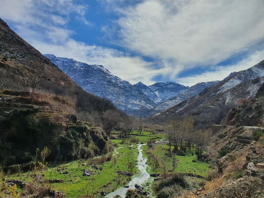 Marrakech: Atlas Mountains, Agafay Desert, Waterfall & Lunch - Key Highlights You’ll Actually Notice