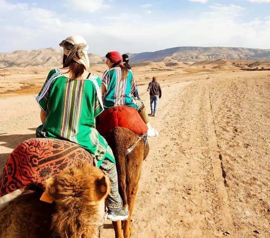 Marrakech: Atlas Mountains, Agafay Desert, Waterfall & Lunch - Why This Atlas Day Trip Feels Different From Typical Tours