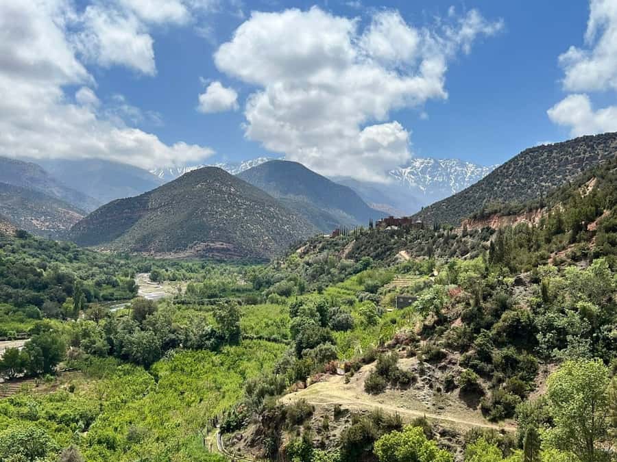 Marrakech: Atlas Mountains, Agafay Desert, Waterfall & Lunch - Lala Takerkoust Camel Ride: Gentle Pace, Great Perspective