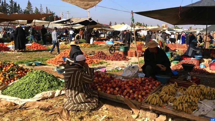 Marrakech: Atlas Mountains, Agafay Desert, Waterfall & Lunch - The Value Math: Why $28 Can Work (When You Choose Wisely)