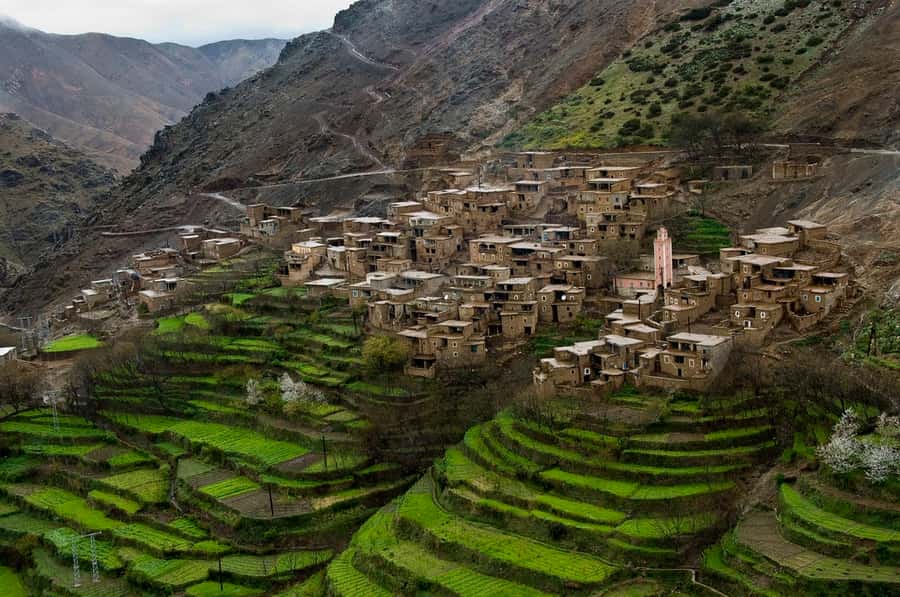 Marrakech: Atlas Mountains and Desert Safari with Lunch - Berber Homes on the Kik Plateau: Tea, Bread, and Village Driving