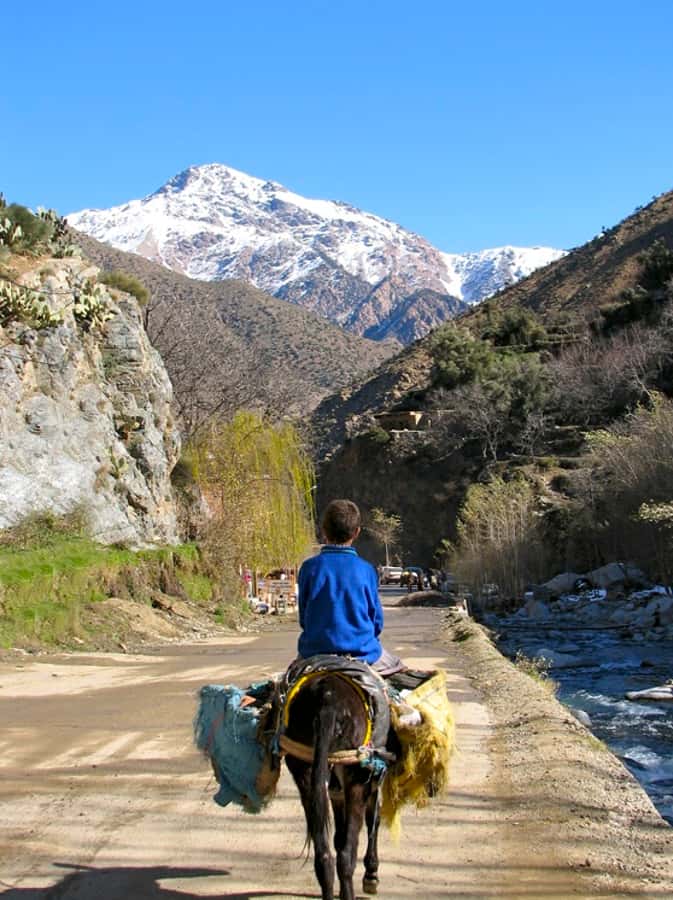 Marrakech: Atlas Mountains and Desert Safari with Lunch - Lunch at Imlil: Lamb Tagine, Moroccan Salads, and Real-Meal Pace