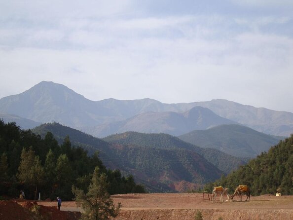 Marrakech: Atlas Mountains, Berber Villages, Agafay & Camel Ride - Key things to know before you go