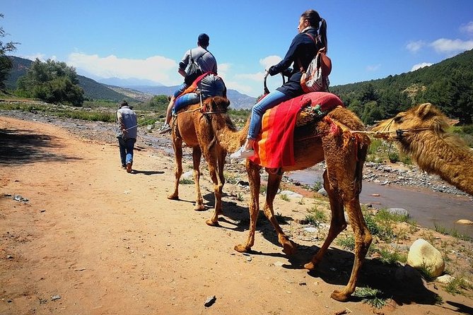 Marrakech: Atlas Mountains & Berber Villages Tour & Camel Ride - Key Points to Know Before You Go