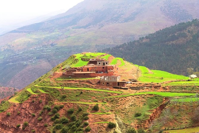 Marrakech: Atlas Mountains & Berber Villages Tour & Camel Ride - High Atlas Views and a Day That Feels Like Morocco, Not a Checklist