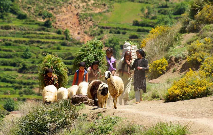 Marrakech Atlas Mountains, Berber Villages & Waterfall Tour - Lake Takerkoust camel ride: the most fun part, and how to enjoy it