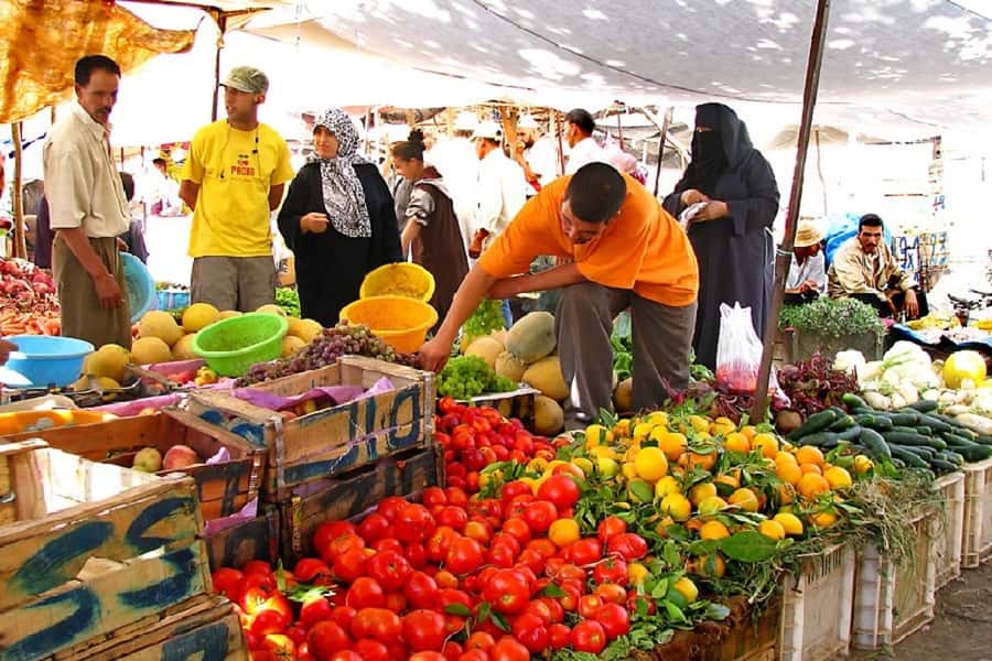 Marrakech: Atlas Mountains, Camel Ride, Waterfalls, & Lunch - Price and Value at About $19: When This Actually Makes Sense