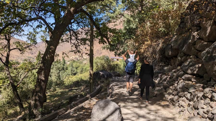 Marrakech: Atlas Mountains, Camel Ride, Waterfalls, & Lunch - Who This Tour Fits Best, and Who Should Pass