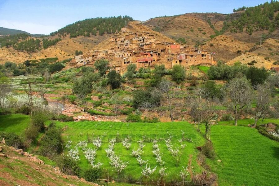 Marrakech: Atlas Mountains Day Trip, 3 Valleys & Waterfalls - Lunch at a Berber House: Tajine, Couscous, and Rooftop Views
