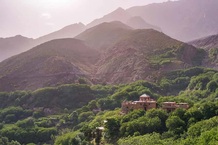 Marrakech: Atlas Mountains Day Trip, 3 Valleys & Waterfalls - Guide and Group Atmosphere (English, Arabic, and the Human Touch)