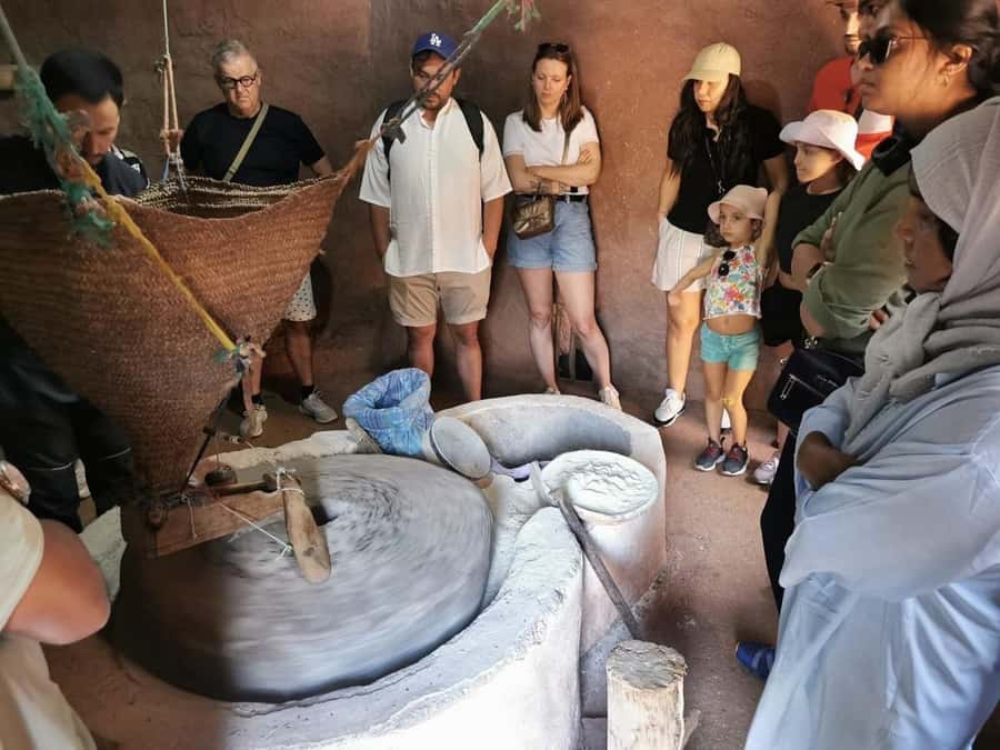 Marrakech: Atlas Mountains, Ourika Valley, Guide & Lunch - Guides and Drivers That Actually Improve the Day
