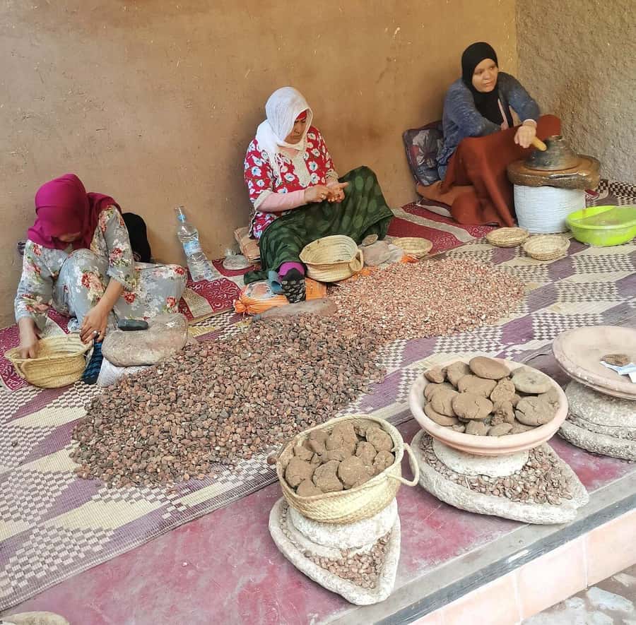 Marrakech: Atlas Mountains, Ourika Valley, Waterfall & Guide - Key highlights you will care about