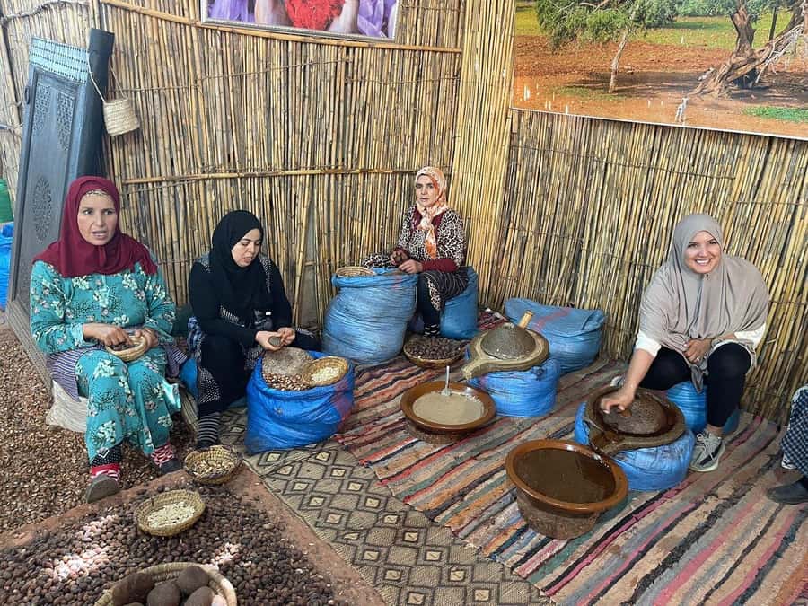 Marrakech: Atlas Mountains, Ourika Valley, Waterfall & Guide - Setti Fatma Waterfalls Hike: What the Moderate Route Really Means