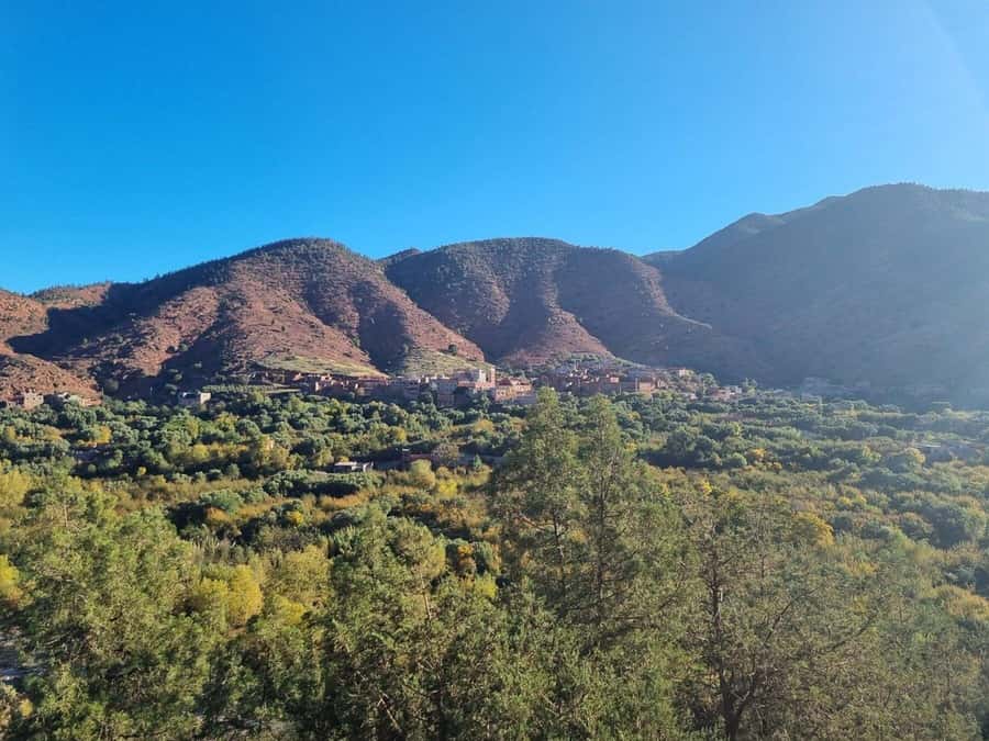 Marrakech: Atlas Mountains, Ourika Valley, Waterfall & Lunch - Setti Fadma Waterfalls Hike: What to Expect on the Walk