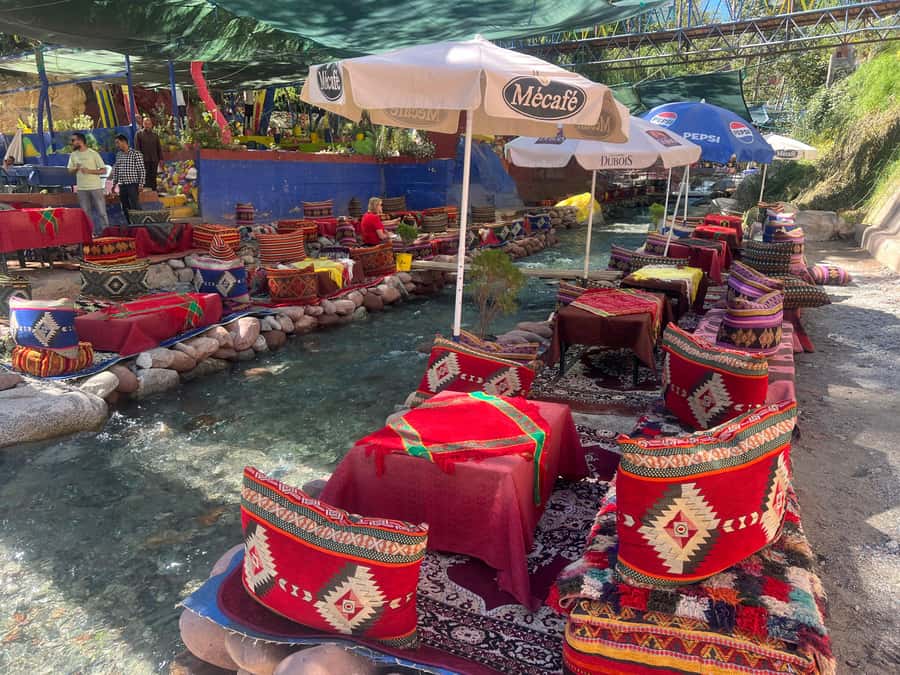 Marrakech: Atlas Mountains, Ourika Valley, Waterfall + Lunch - Atlas Mountains Stop: Tea Ceremony, Tastings, and Market Time