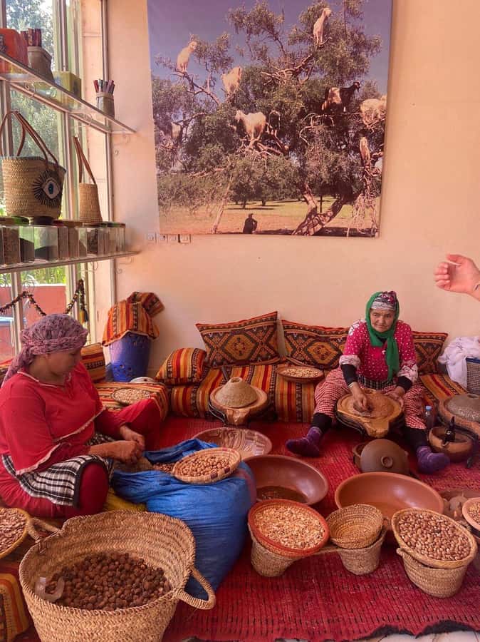Marrakech: Atlas Mountains, Ourika Valley with Guide & Lunch - Ourika Valley Waterfalls Hike: Pace, Footing, and What You’ll Notice