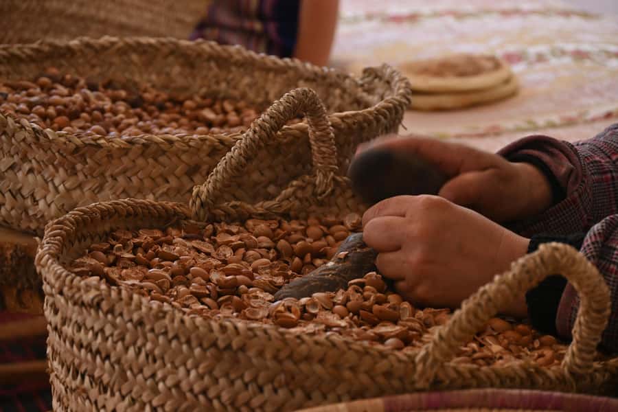 Marrakech: Atlas Mountains & Ourika Waterfalls, Lunch+Guide - Lunch choices, and how to avoid a tourist-markup meal