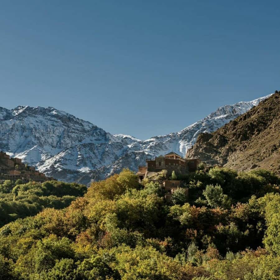 Marrakech: Atlas Mountains & Valleys Waterfall Hike w/ Lunch - The women’s argan oil cooperative stop: what you’ll actually see