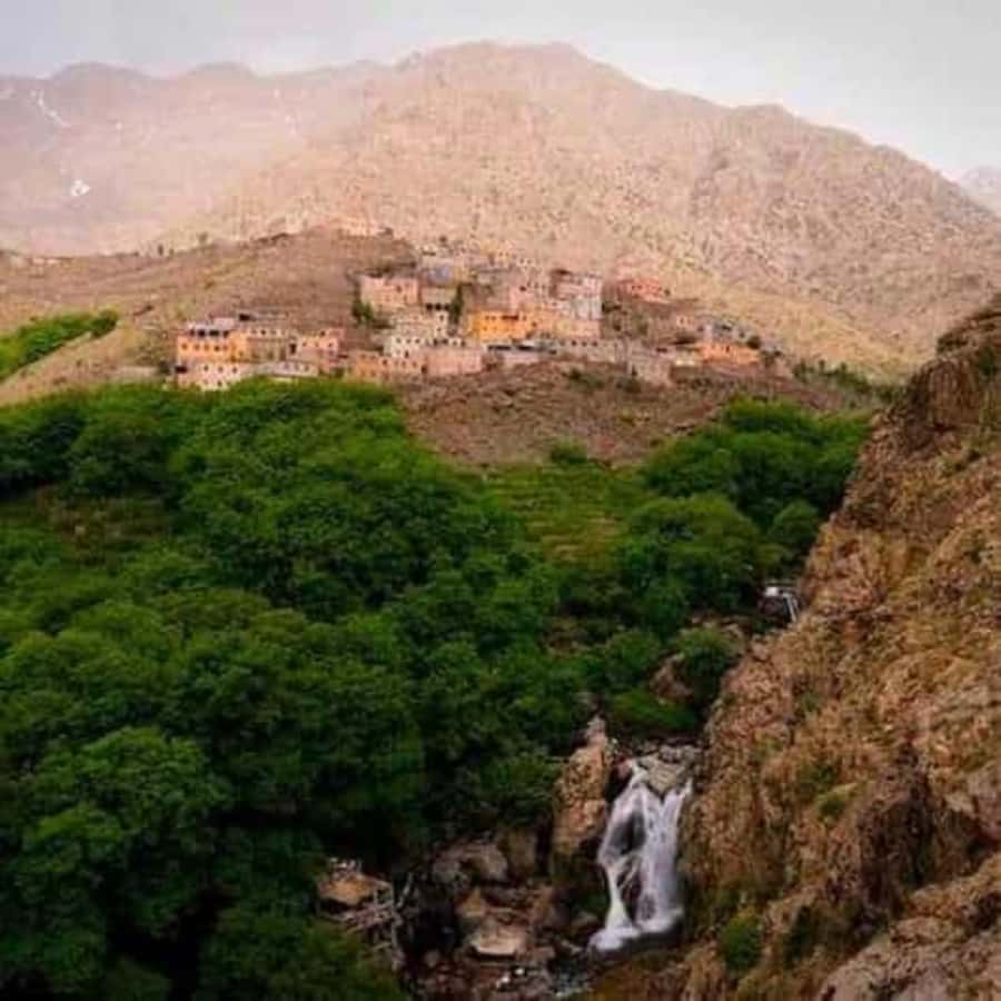 Marrakech: Atlas Mountains & Valleys Waterfall Hike w/ Lunch - Photo stops, tea breaks, and the small-shop reality