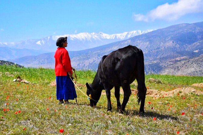 Marrakech: Atlas Mountains & Villages, Waterfalls, Camel Ride - Imlil hike to Armed village: the altitude climb and the Berber-home lunch