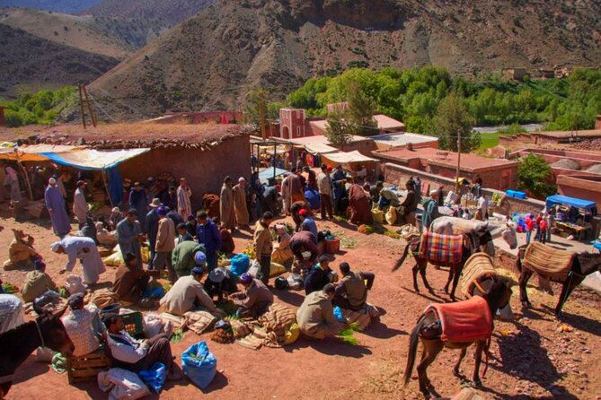 Marrakech: Atlas Mountains & Villages, Waterfalls, Camel Ride - Your guide matters more than you think