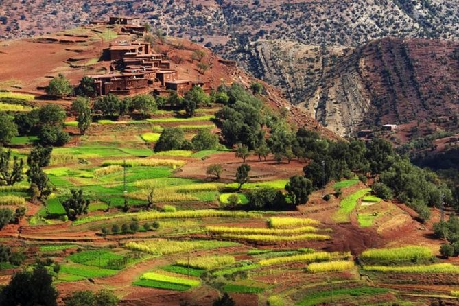 Marrakech: Atlas Mountains & Villages, Waterfalls, Camel Ride - What to bring for a smooth Atlas day