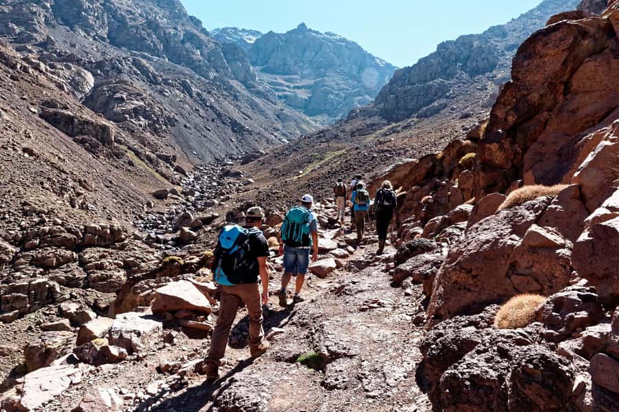 Marrakech: Atlas Mountains Zipline Adventure & Breakfast - Price and what you actually get for around $56