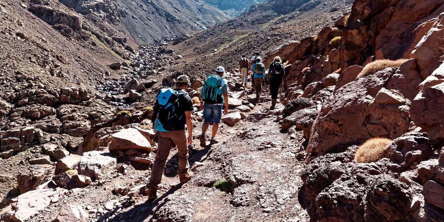 Marrakech: Atlas Mountains Zipline Adventure & Breakfast - Group size and the role of your guides and driver
