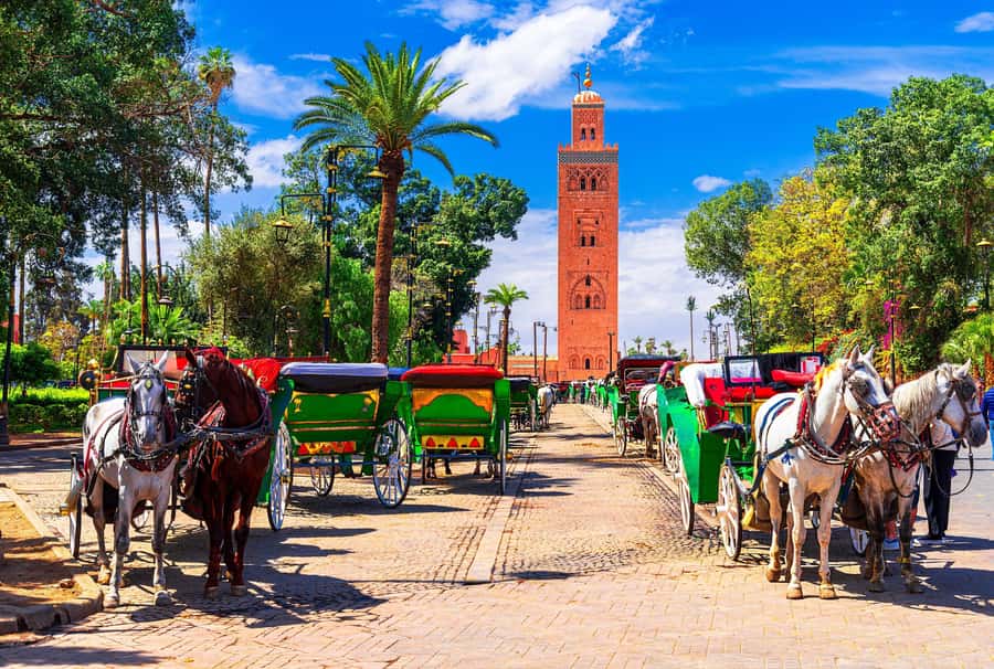 Marrakech: Bahia Palace, Madrasa Ben Youssef & Secret Garden - How This 4-Hour Loop Helps You Read Marrakech Fast