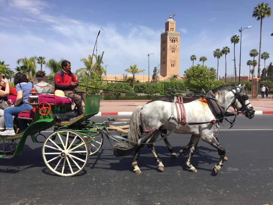 Marrakech: Bahia Palace, Saadian Tombs, & Koutoubia Mosque - Koutoubia Mosque, Bab Agnaou, and Kasba: getting bearings fast
