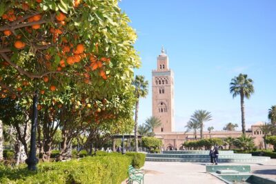 Bahia Palace, Saadian Tombs, Souk and Medina Tour