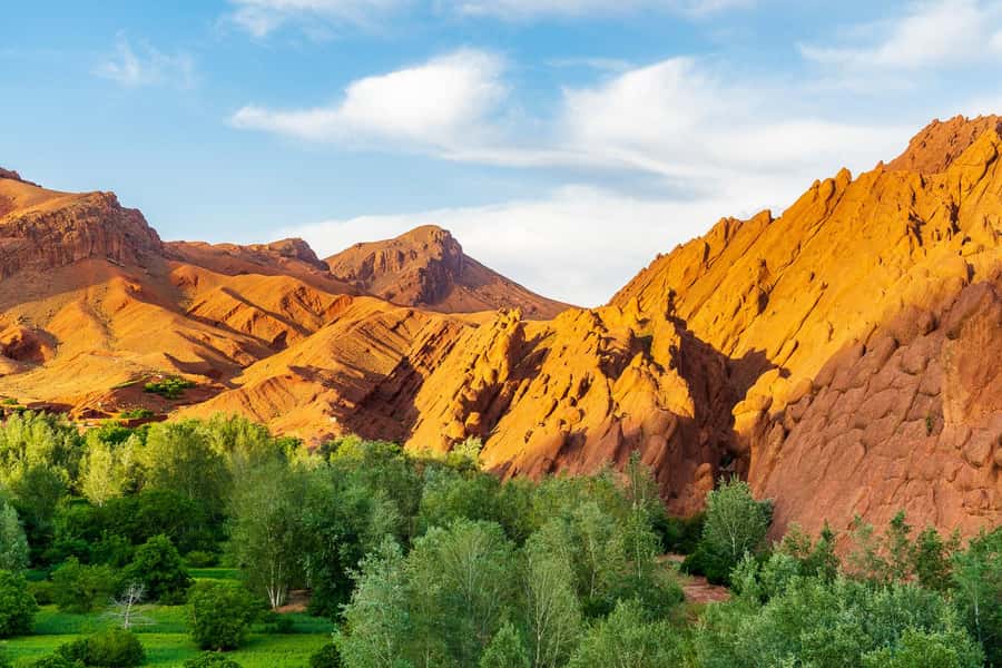Marrakech: Berber Culture Experience & Atlas Mountains Tour - Key takeaways before you go