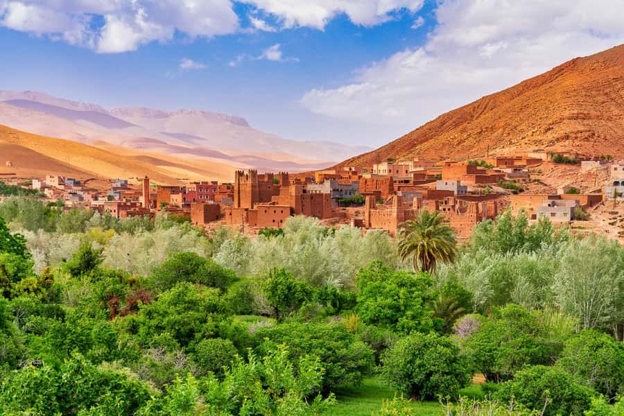 Marrakech: Berber Culture Experience & Atlas Mountains Tour - Tahnaout, mint tea, and the camel ride that people remember