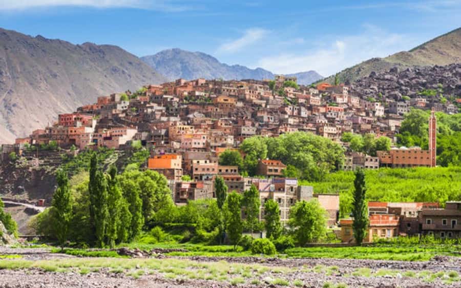 Marrakech: Berber Spa and Traditional Hammam with Steam Room - Berber Hammam Energy: Why This Feels Like More Than a Massage