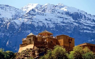 Berber Spa and Traditional Hammam with Steam Room