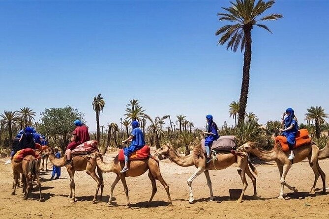 Marrakech Best Day Trip from Casablanca - Souk Semmarine: short market browsing, quick taste