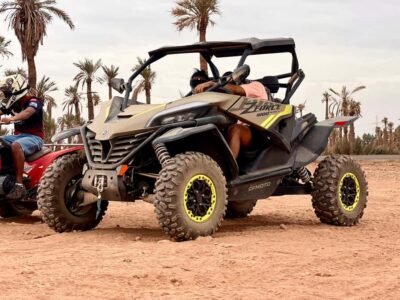 Buggy Adventure & Horse Riding in the Palm Grove