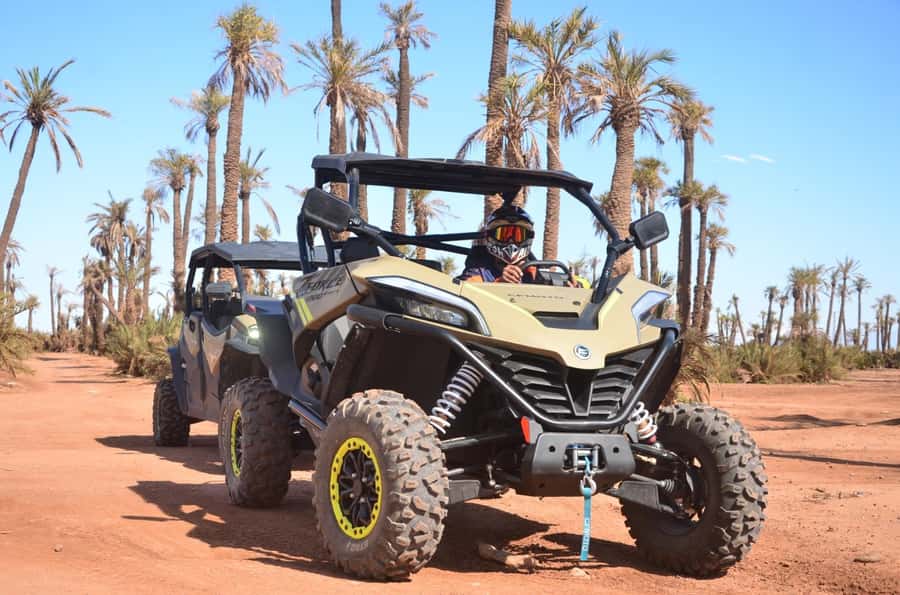 Marrakech: Buggy Adventure & Horse Riding in the Palm Grove - Should You Book This Marrakech Buggy and Horse Adventure?