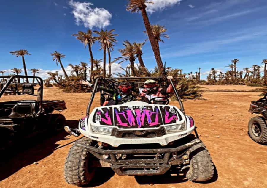Marrakech: Buggy Experience at Palmeraie with Hotel Pickup - Timing, Group Setup, and What You’re Paying For
