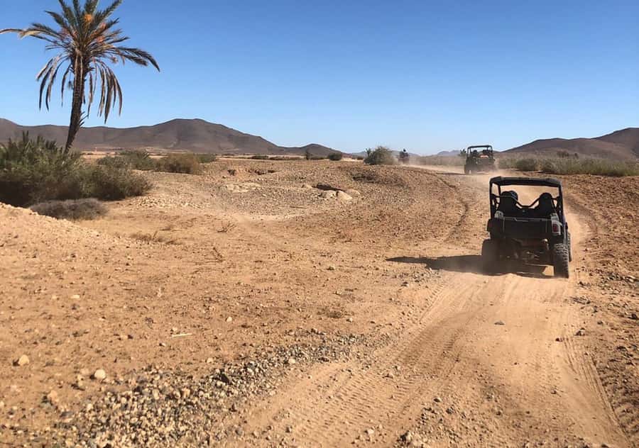 Marrakech: Buggy Experience at Palmeraie with Hotel Pickup - Hotel Pickup in an Air-Conditioned Car, Plus a Guide You Can Find Fast